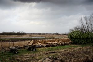 Harm Mol Rietsnijder in Giethoorn
